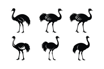 Obraz premium Ostrich silhouette vector art illustration