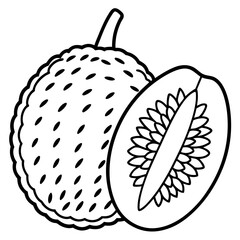 Jackfruit line art vector