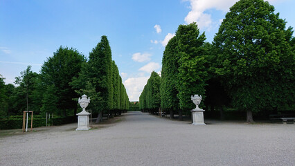 Symmetrical tree alley in a serene park