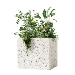 terrazzo planter with green plants outdoor garden decor isolated on a white background