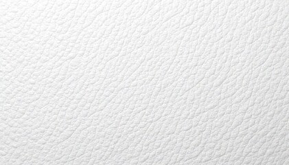 Fototapeta premium White leather surface with visible stitching details, surface, thread, weave
