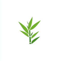 Fototapeta premium Simple Green Bamboo Plant Illustration Design