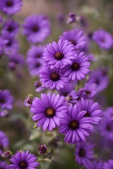 Fototapeta premium Nature wallpaper background images