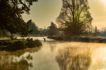 Kayaking on the Canal at Dawn.