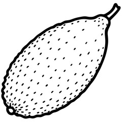 Stylized Finger Lime in Vector Form