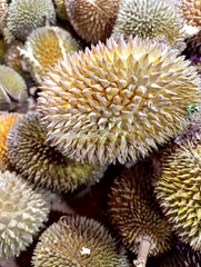 Close up of Pile of Asian Durian fruit for sale