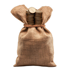 money bag with stacked coins realistic 3D isolated on white transparent background