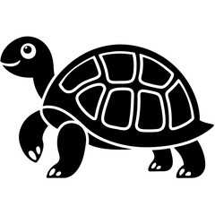 turtle illustration
