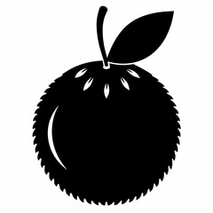 Vibrant Gac Fruit Vector Artwork