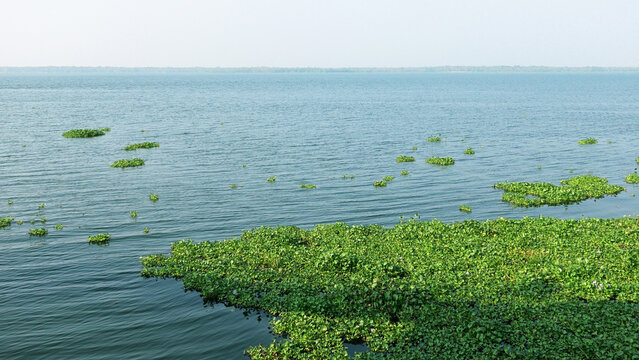 Vembanad lake at Thanneermukkam, Kuttanad, Alappuzha, Kerala, India
