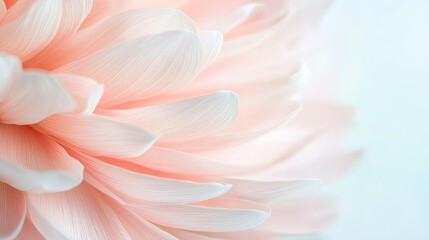 Pastel abstract background concept. Delicate pink flower petals with a soft focus creating a serene atmosphere.