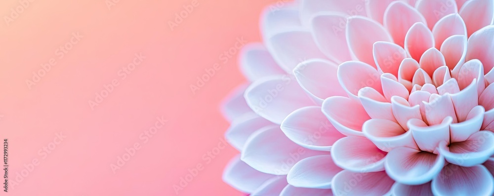 Poster pastel abstract background concept. close-up of a delicate pink flower with intricate petal patterns