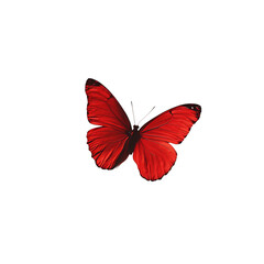Obraz premium Crimson Winged Beauty: A vibrant, macro shot of a stunning red butterfly, its delicate wings spread wide, showcasing the intricate patterns and textures, and an elegant portrayal of nature's art.