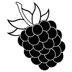 Blackberry line art art vector