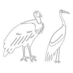 Simple outline drawing of a turkey-vulture-crane, perfect for coloring, crafting, and educational use.