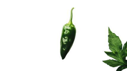 A Vibrant Green Jalapeno Pepper Perfect for Culinary Use and Food Photography, Ideal for Spicing Up Dishes and Recipes That Call for Fresh Ingredients.