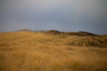 Dünen bis zum Horizont