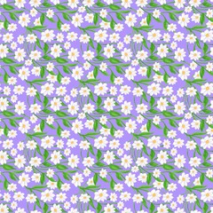 White flowers seamless repeating pattern on purple background. Ditsy, floral pattern, wallpaper.