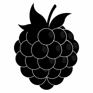 black blackberry fruit isolated white background clip art preview