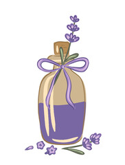 Hand drawn lavender essential oil bottle with flowers, ribbon, and purple liquid accentuation