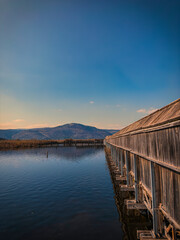 Old Tree Bridge over the Water to the Nature Reserve