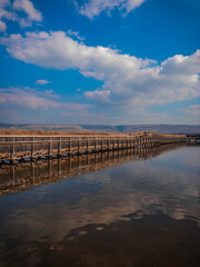 Old Tree Bridge over the Water to the Nature Reserve