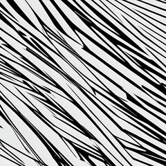 Obraz premium A captivating abstract design featuring sharp, angular black lines on a white background, creating a dynamic sense of movement. Perfect for modern art and graphic design projects.