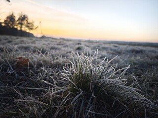 sunset in the field, frost on grass