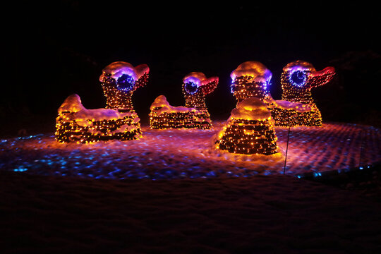 Christmas Garden Insel Mainau 