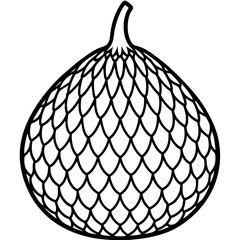 Elegant Salak Line Drawing in Vector