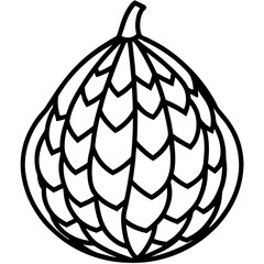 Elegant Salak Line Drawing in Vector