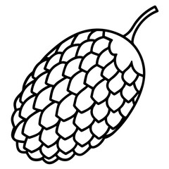 Elegant Salak Line Drawing in Vector