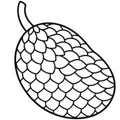 Elegant Salak Line Drawing in Vector