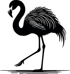 Chilean Flamingo vector black silhouette cricut design for T-shirt