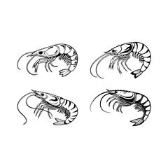 Shrimp Vector Style collection silhouette Art Design