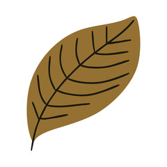 Brown Leaf Flat Design