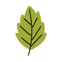 Green Leaf Flat Design
