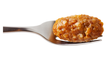 Cooked lentil-based dish on a fork, highlighting textured surface and satisfying appearance, perfect for healthy meal ideas or vegetarian cuisine.