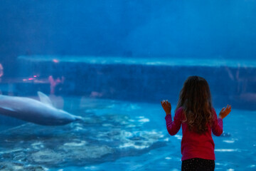 Bimba si diverte con i delfini mentre visita l'Acquario di Genova, Liguria, Italia, Europa