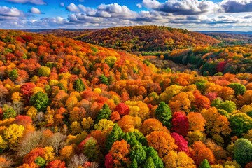 Aerial View of Colorful Autumn Foliage in Western Pennsylvania State Park