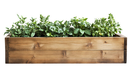 Fresh Herbs in a Wooden Planter Box