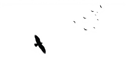 Majestic flight of a solitary eagle soaring above a flock of smaller birds in a bright, vast sky