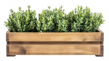 Wooden Planter Box with Green Plants
