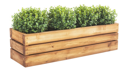 Wooden Planter Box with Green Shrubs