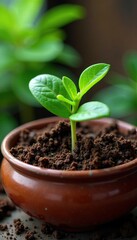 Soil from flower pot viewed in high definition microscope, nature, dirt, botanical