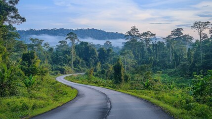 Fototapeta premium Serene Winding Road Through Lush Tropical Rainforest