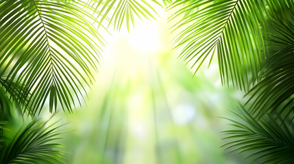A serene view of sunlight filtering through lush green palm leaves, creating a tranquil and inviting atmosphere.
