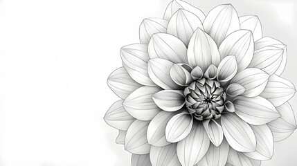 Obraz premium Black and White Line Art of a Dahlia