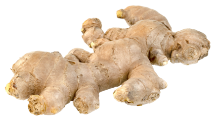 fresh ginger root isolated