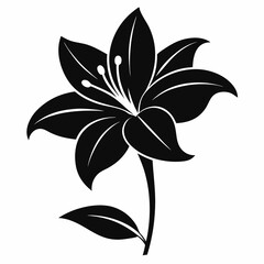 Lily Serenity black silhouette vector